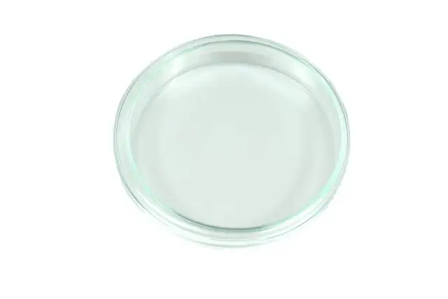 Szalka Petriego: Od laboratorium po dom odkryj jej zastosowania