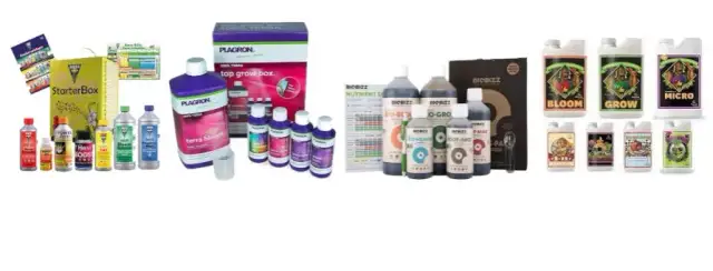 Jaki nawóz pod marihuanę? Odkryj najlepsze opcje dla udanej uprawy