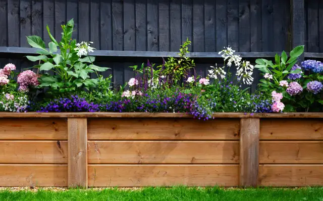 Czym obsadzić działkę przy płocie, aby zyskać prywatność i urok?