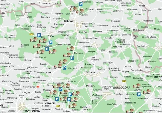 Gdzie na grzyby z noclegiem? Odkryj najlepsze miejsca na grzybobranie