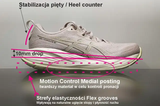 Jakie buty na siłownię wybrać, by uniknąć kontuzji i poprawić wyniki?