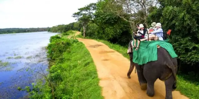 Przewodnik roczny dla turystów kiedy najlepiej jechać na Sri Lankę