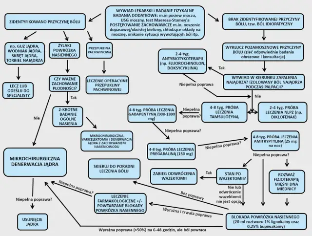 Co na ból jąder? Przyczyny, objawy i skuteczne metody leczenia