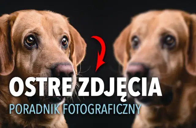 Ostre zdjęcia: Jak uzyskać idealną ostrość krok po kroku?