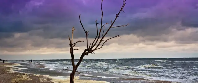 Jod nad Bałtykiem: Jak naturalnie wzmocnić tarczycę i odporność?