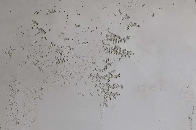 Beton dekoracyjny Venezia Design: jak uniknąć błędów w aplikacji