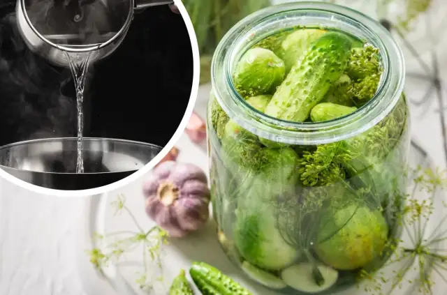Jaką wodą zalewać ogórki kiszone na zimę, aby uniknąć błędów?