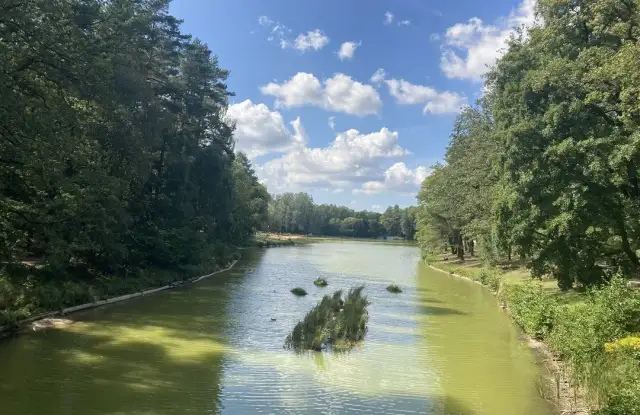 Rezerwat przyrody Las Łagiewnicki – tajemnice flory i fauny w Łodzi