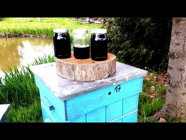 Jak zrobić ziołomiód malinowy w prosty sposób i cieszyć się smakiem