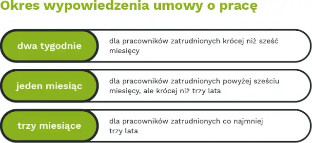 Staż a umowa o pracę: kluczowe różnice i Twoje prawa