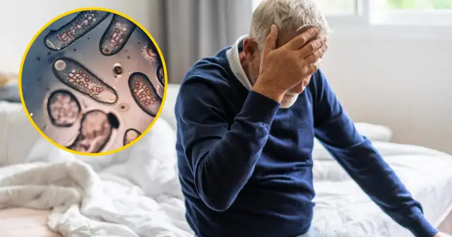 Toksoplazmoza a psychika: jak pasożyt wpływa na mózg?