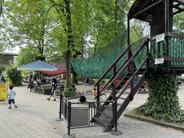 Park linowy Poznań dla dzieci: Który wybrać? Porównanie ofert