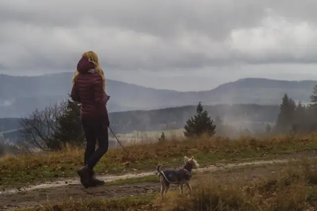 Góry z psem: przewodnik po przepisach, trasach i przygotowaniu
