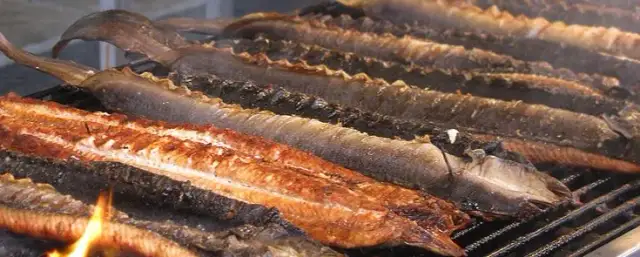 Najlepsze przepisy na węgorz z grilla, które zachwycą Twoje kubki smakowe