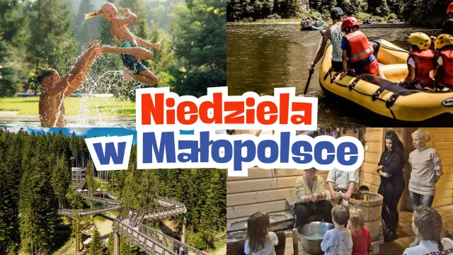 Diki: Miejsce odjazdu wycieczki kiedy i gdzie szukać info?