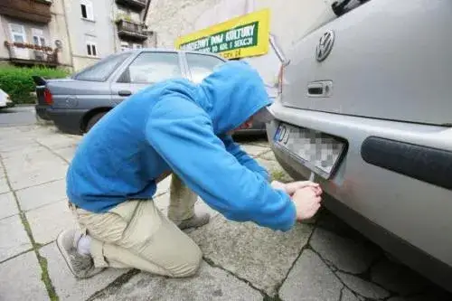 Co to jest kartonik dla kierowcy i dlaczego jego brak może kosztować?