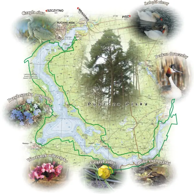 Jezioro Nidzkie – ukryty raj dla miłośników natury i rekreacji