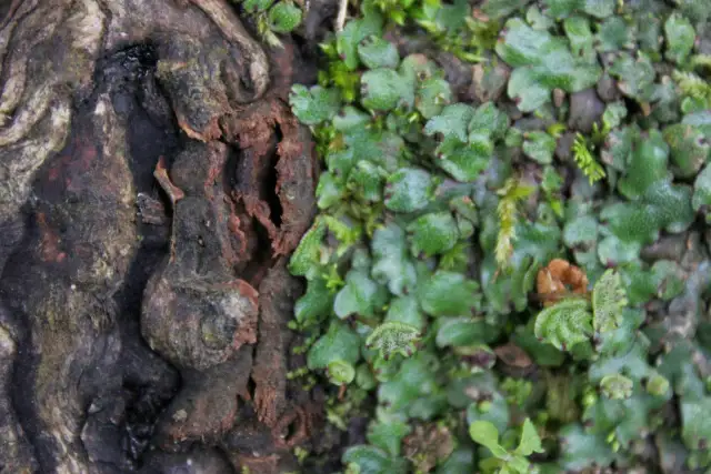 Faktura w malarstwie: jak tekstura wpływa na emocje i odbiór dzieła
