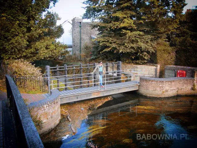 "Kołcz" czy coach? Rozszyfruj zjawisko i wybierz mądrze