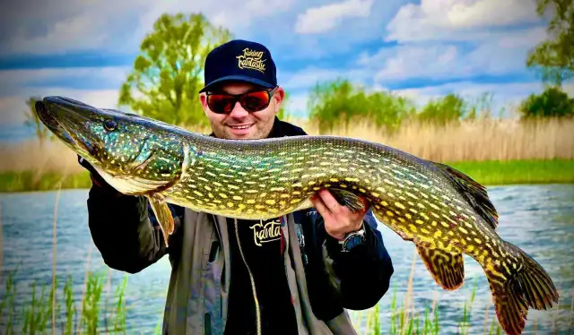 Szczupak na zapach? Odkryj skuteczne zanęty i atraktory!