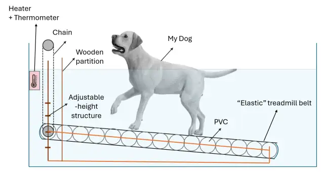 Schemat bieżni dla psa jak zrobić: pies na bieżni wodnej z regulowaną wysokością, podgrzewaczem i termometrem.