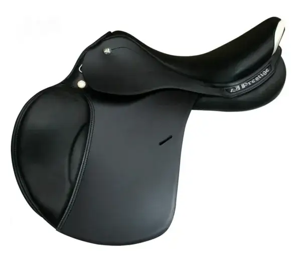 Ile kosztuje siodło? Ceny, rodzaje i gdzie je kupić tanio