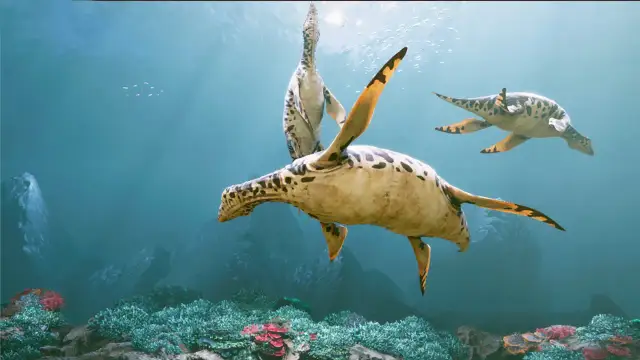 Oceanarium Małopolska - atrakcje, godziny otwarcia i wyjątkowe doświadczenia