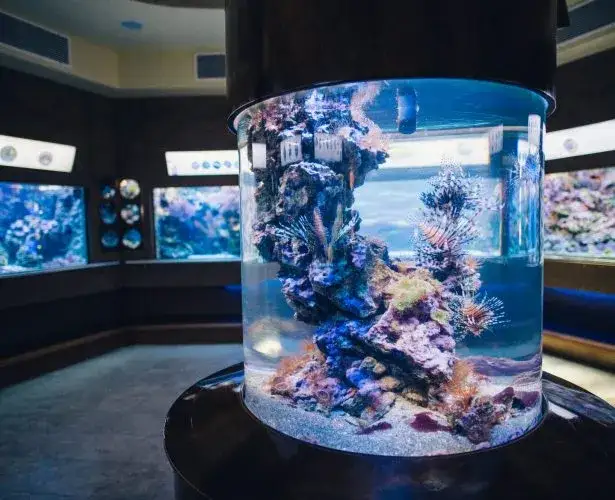 Oceanarium Sopot - Fascynujące życie morskie i edukacja dla każdego