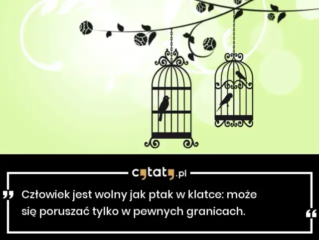 Cytaty o wolności: wolny jak ptak i jego ograniczenia w życiu