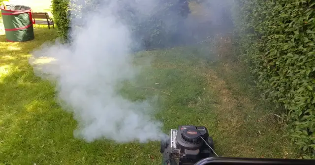 Dlaczego kosiarka dymi na biało? Oto przyczyny i rozwiązania problemu