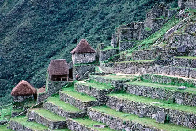 Kamienne tarasy i budowle Machu Picchu, porośnięte zielenią. Ciekawe machu picchu ciekawostki o inżynierii Inków.
