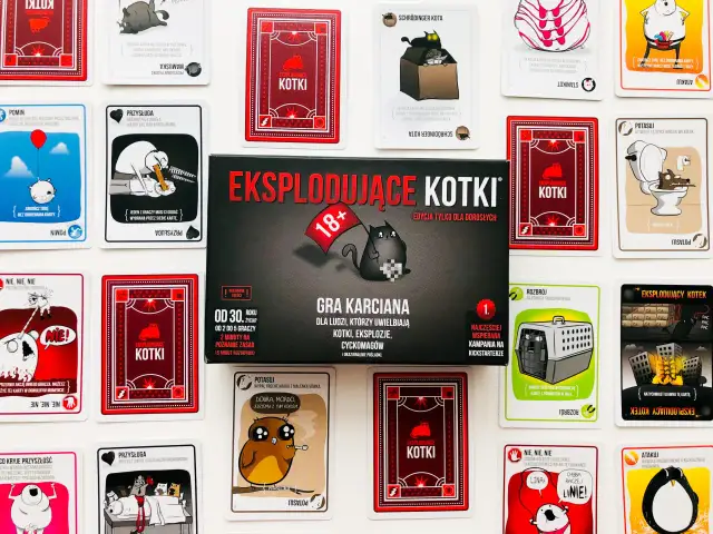 Jak grać w Kotki - proste zasady i strategie, które musisz znać