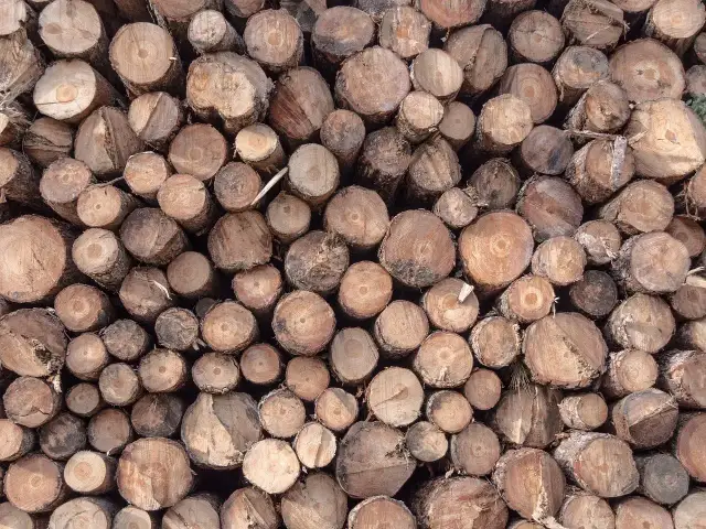 Stalowy czy drewniany dom szkieletowy? Porównanie, które rozwieje wątpliwości