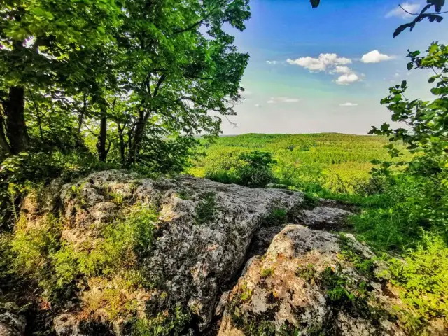 Rezerwat przyrody Zielona Góra - Tajemnice i atrakcje natury w Polsce