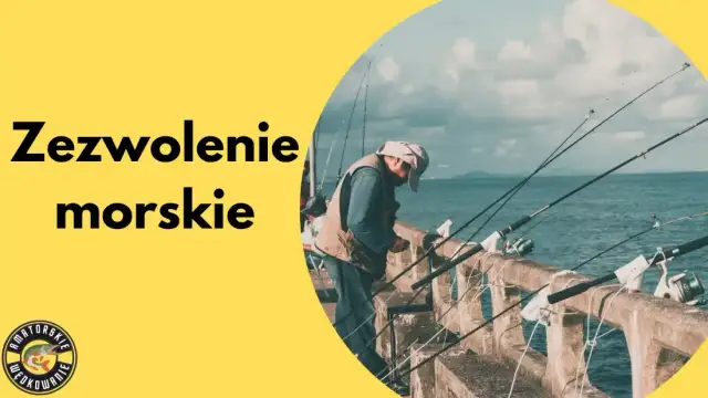 Jak legalnie wędkować na Jeziorze Żywieckim? Ceny i zasady 2026