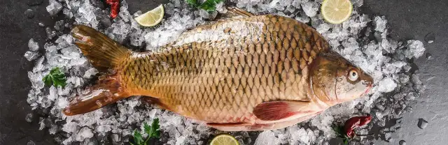 Was kostet ein kilo frischer karpfen? Preisschwankungen und Tipps