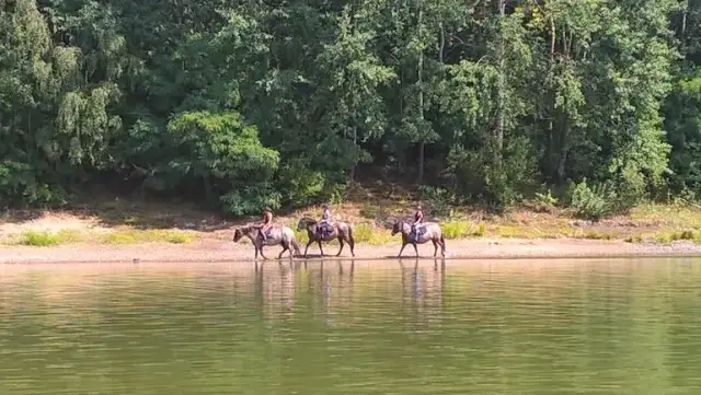 Stadnina Izery - Odkryj unikalne hodowle koników polskich i agroturystykę