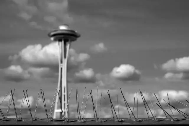 Skuteczne sposoby na pozbycie się ptaków z poddasza bez szkód