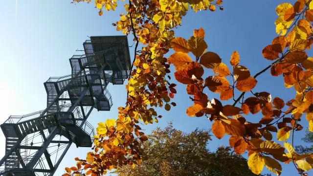Aussichtsturm Rauen: Alle Infos für Ihren Ausflug | Wandern & Aussicht