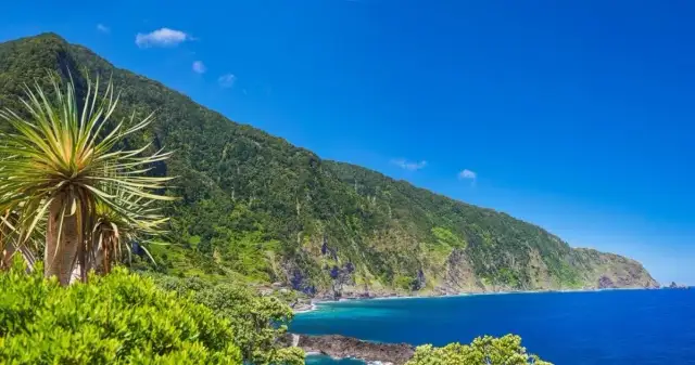 Madera czy Wyspy Kanaryjskie - gdzie spędzić wymarzone wakacje?