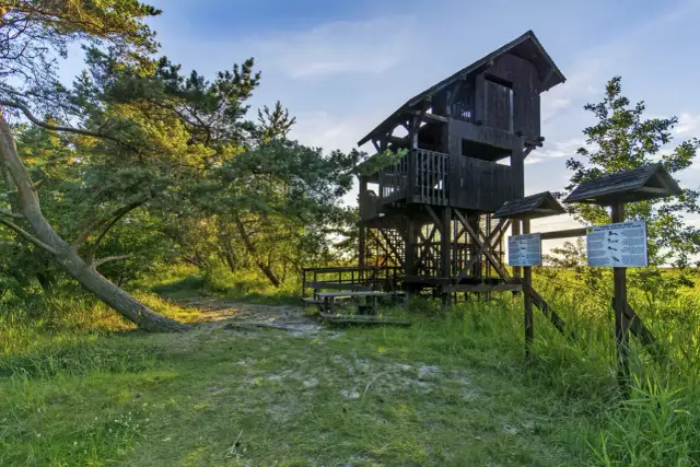 Rezerwat Beka: Ptasi Raj i Słonawy - Twój Przewodnik