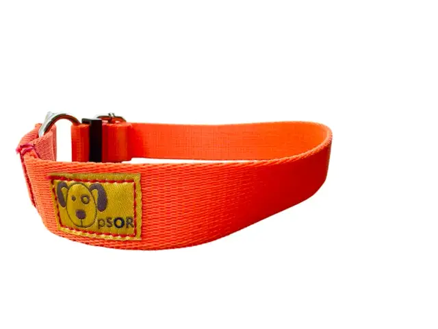 Obroża półzaciskowa jak działa - bezpieczeństwo i komfort dla psa