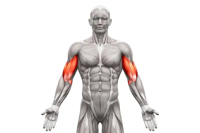 Jak rozciągać biceps? Uniknij 5 błędów i zyskaj siłę!