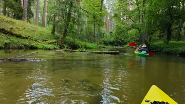 Spływ kajakowy Marózką: Planuj przygodę! Trasy, ceny, porady