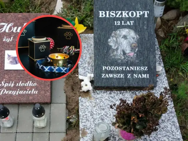 Nagrobek psa z imieniem "Biszkopt", urną, świecą i zabawkami.
