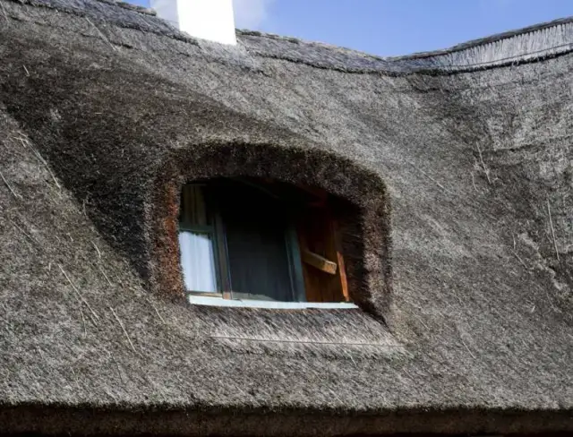 Strzecha na dachu: piękno, trwałość i korzyści ekologiczne