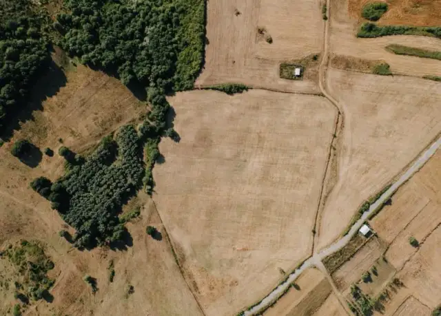 Jak znaleźć granice działki i uniknąć problemów z nieruchomościami