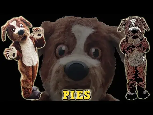 Jak zrobić strój psa dla dziecka - proste i kreatywne pomysły