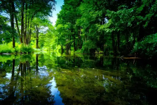 Jezioro Cisie – raj dla miłośników przyrody i aktywności wodnych