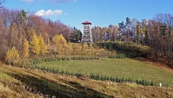 Najciekawsze atrakcje w Tuchowie, które musisz zobaczyć